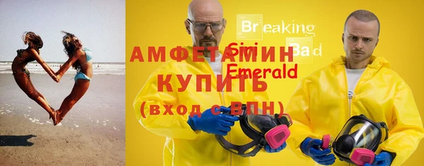 амф Осинники