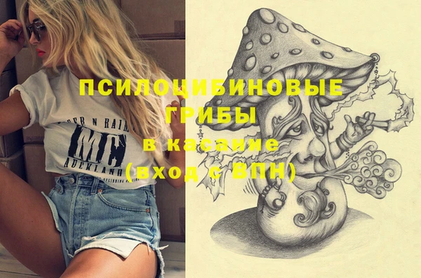 прущий лед Осташков