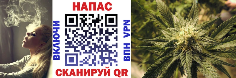 Бошки Шишки планчик мега зеркало Углегорск